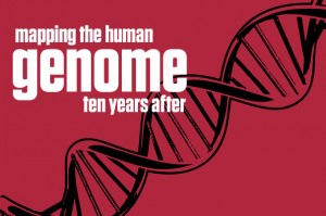 One race and many ethnic groups - the Human Genome findings confirm it. Photo Credit: news.harvard.edu 